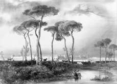 Zoom sur Aigues-Mortes, côté Est vers 1850 - gravure reproduite par la  © BNF et restaurée numériquement par © Norbert Pousseur