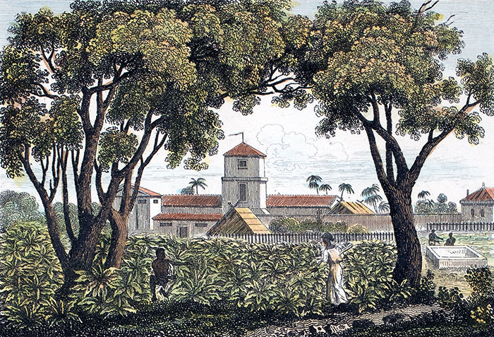 Une habitation de à la Guadeloupe vers 1830 - reproduction © Norbert Pousseur