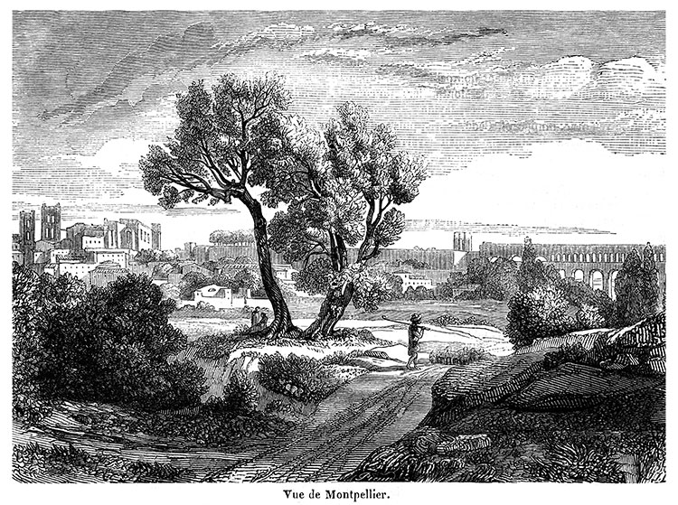Montpellier depuis sa campagne, vers 1875 - gravure reproduite et restaurée par © Norbert Pousseur