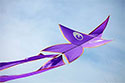 Imagette : Festival de cerfs-volants à Fréjus - © Norbert Pousseur