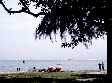 © Norbert Pousseur - Singapour - Jardin public au bord de mer 