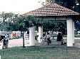 © Norbert Pousseur - Singapour - Kiosque dans parc