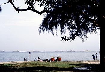 © Norbert Pousseur - Jardin public au bord de mer