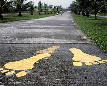 © Norbert Pousseur - Parcours piétons dans parc - Photographie Norbert Pousseur