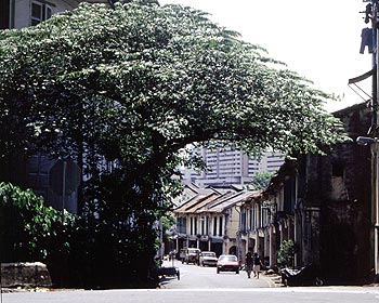 © Norbert Pousseur - Ruelle du vieux Singapour