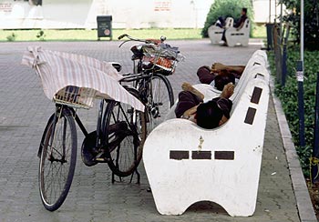 © Norbert Pousseur - Repos de midi de cyclistes sur banc public - Photographie Norbert Pousseur