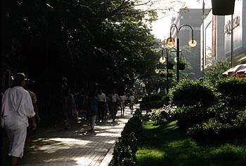 © Norbert Pousseur - Allée piétonne en centreSingapour - Allée piétonne en centre ville - Photographie Norbert Pousseur