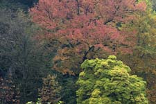 Paysages de Lourdes - © Norbert Pousseur - canon400da__1383