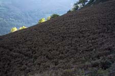 Paysages de Lourdes - © Norbert Pousseur - canon400da__1713