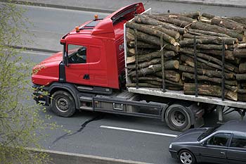 camion à chargement de troncs d'arbre, nationle traversant Angers - © Norbert Pousseur