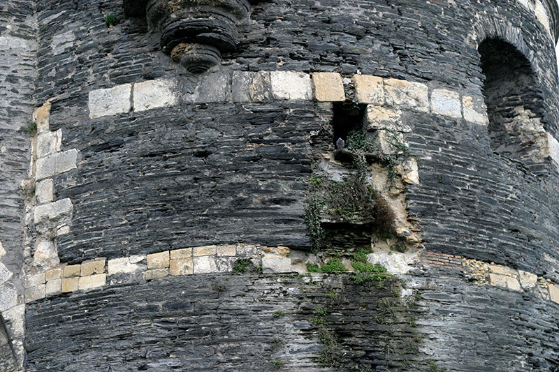 érosions des murailles du château d'Angers - © Norbert Pousseur