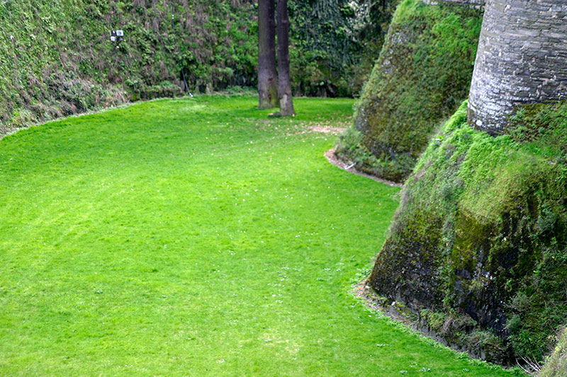 Douves du château d'Angers - © Norbert Pousseur