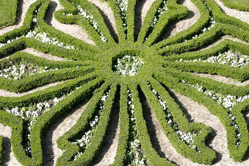 Haies taillées du jardin du château d'Angers - © Norbert Pousseur