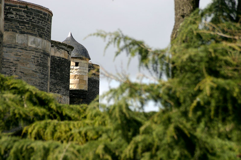 Vue sur lles murailles du château d'Angers en 2006 - © Norbert Pousseur