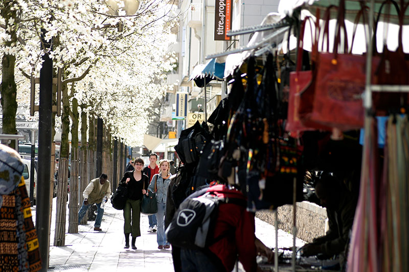 Trottoir fleuris d'Angers - © Norbert Pousseur