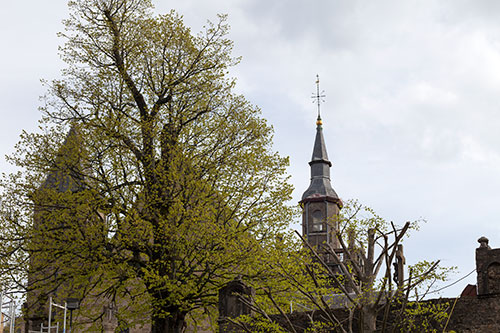 L'église St Donat à Arlon - © Norbert Pousseur