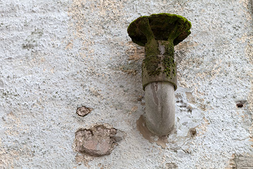 Cheminées moussue de mur - © Norbert Pousseur
