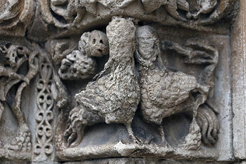 Deux gallinacées sans visage à Avallon - © Norbert Pousseur