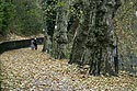 Promeneurs sur le chemin couvert de feuilles d'automne le long de la Limmat - Baden - © Norbert Pousseur
