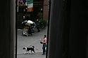 Passant avec chien en coin de rue - Baden - © Norbert Pousseur