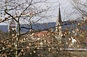 Centre-ville et arbres d'hiver - Baden - © Norbert Pousseur