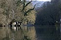 Rives arborées de la limmat en hiver - Baden - © Norbert Pousseur