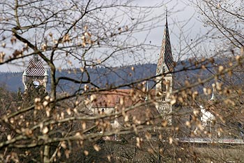 Centre-ville et arbres d'hiver - Baden - © Norbert Pousseur