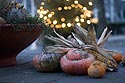 Bouquet de Noël aux courges - Bonn - © Norbert Pousseur