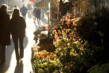 Passage fleuri - Bonn - © Norbert Pousseur