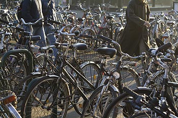 Parc à vélos en bord de parc - Bonn - © Norbert Pousseur