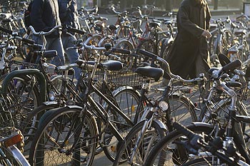 Parc � vélos en bord de parc - Bonn - © Norbert Pousseur