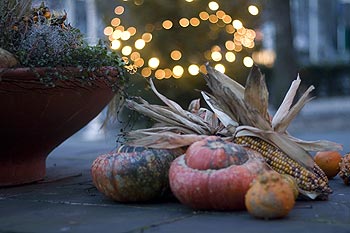 Bouquet de Noël aux courges - Bonn - © Norbert Pousseur