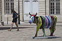 Vache en laisse - Bordeaux - © Norbert Pousseur
