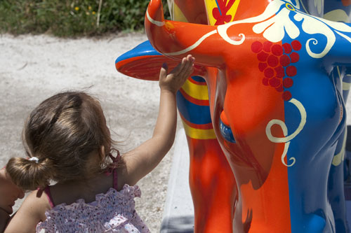 Gentille vache rouge - Bordeaux - © Norbert Pousseur