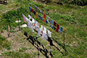 Linge êchant à Chateaudouble - © Norbert Pousseur