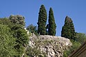 Les cyprès sur la butte du cimetière - © Norbert Pousseur