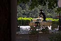 Terrasse ombrée d'un des 2 restaurants de Chateaudouble - © Norbert Pousseur