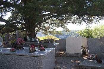 Les cyprès sur la butte du cimetière - © Norbert Pousseur