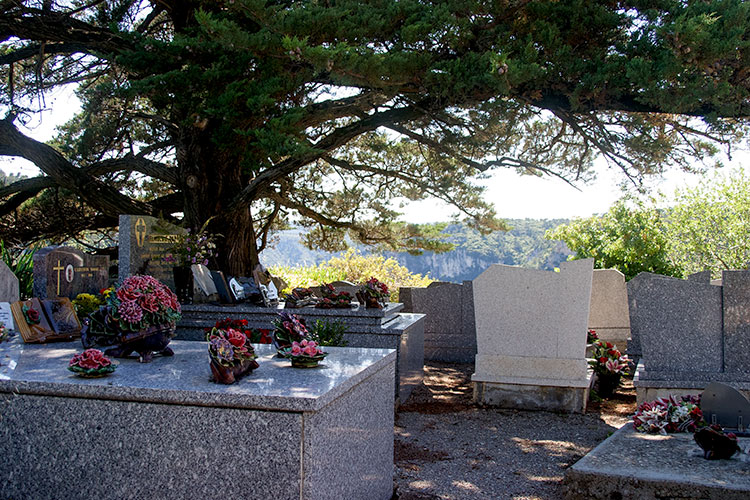 Les cyprès sur la butte du cimetière - © Norbert Pousseur