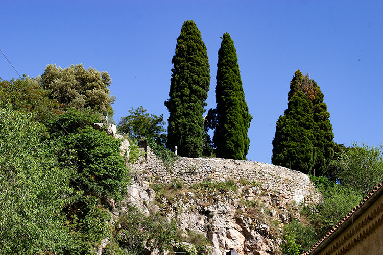 Les cyprès sur la butte du cimetière - © Norbert Pousseur