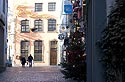 Rue décorée de sapin de Noël - Cologne - Koeln - © Norbert Pousseur