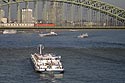 Navigation sur le Rhin sous le pont du chemin de fer - Cologne - Koeln - © Norbert Pousseur