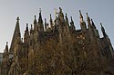 Les faîtes de la cathédrale, telle une forêt - Cologne - Koeln - © Norbert Pousseur