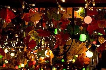 Feuilles multicolores au milieu de lampes teintées - Cologne - Koeln - © Norbert Pousseur