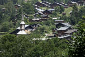 Zoom : Les Contamines-Montjoie, entre verdure et habitations © Norbert Pousseur
