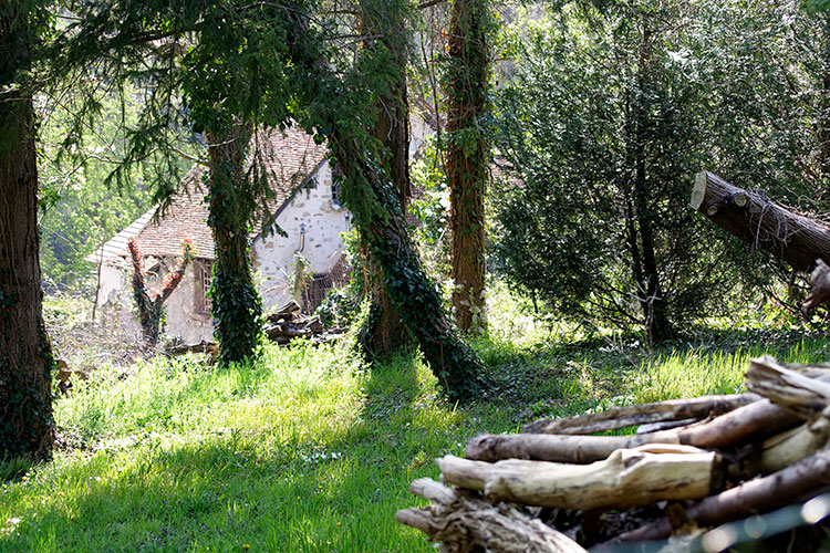 Maison sur terrain forestier à Coupvray - © Norbert Pousseur