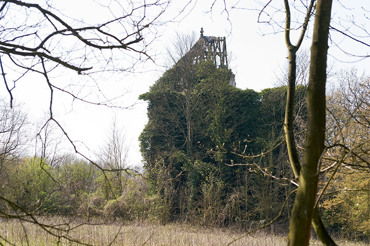 Ruines couvertes de lierre du château de Rohan à Coupvray - © Norbert Pousseur