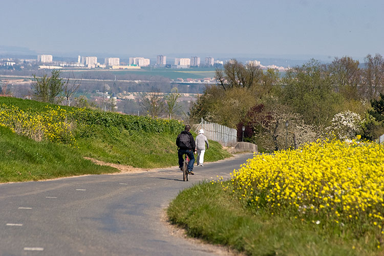 Rue descendant vers Coupvray avec vue sur la plaine de Meaux - © Norbert Pousseur