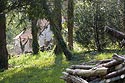 Maison sur terrain forestier à Coupvray - © Norbert Pousseur