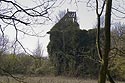 Ruines couvertes de lierre du château de Rohan à Coupvray - © Norbert Pousseur